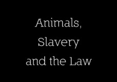 Animals, Slavery and the Law (Compilation)